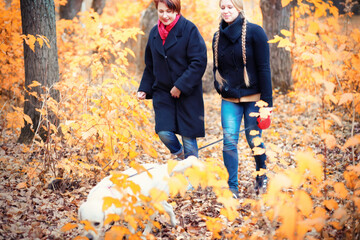 Young girl on a walk in the autumn