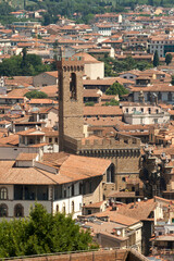 Fototapeta na wymiar Italia. Toscana, Firenze, la città vista dal Forte di Belvedere, il palazzo del Bargello.