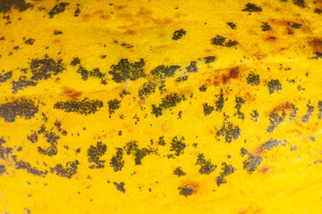 Macro or detail photo of an melon skin.
