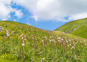 Rieti (Italy) - The summit of Monte di Cambio, beside Terminillo, during the spring. Over 2000...
