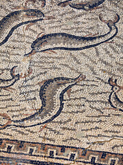 Mosaicos de la casa de orfeo.Ciudad Romana de Volubilis(II d.c.), yacimiento arqueologico.Marruecos.