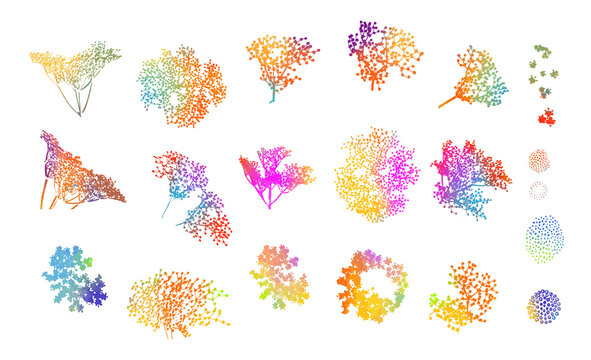A set of multicolored rainbow flowers. Vector illustration