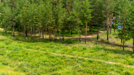 Forest and forest lakes in Samarskaya Luka National Park!
