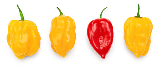 yellow and red habanero chili hot peppers isolated on white background. clipping path - obrazy, fototapety, plakaty