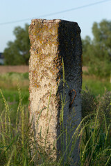 old concrete pillar field