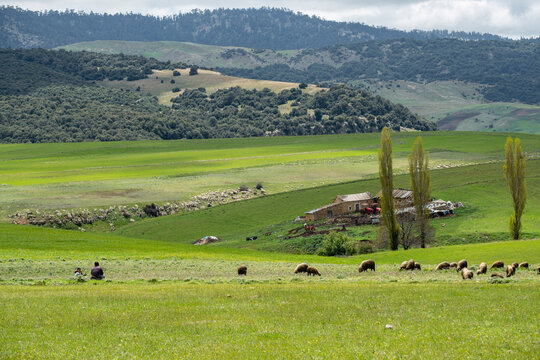 Agelman Ou Haoul, parque nacional Ifran, Atlas Medio, Marruecos, Africa