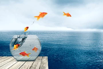Fotobehang Group of goldfish jump from aquarium to the lake © Creativa Images