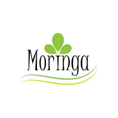 Moringa leaf logo illustration vector design