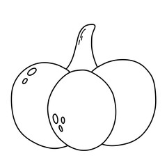 Vector outline cute black and white pumpkin. Autumn vegetable. Funny veggie harvest line illustration.