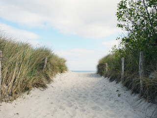 Fototapeta na wymiar Beautiful pathway to the beach on a slightly cloudy spring day, Baltic Sea, Germany