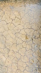 terra debaixo de agua sal