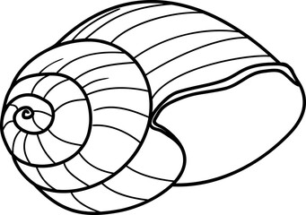 Coloring page with shell of Roman snail (Helix pomatia)