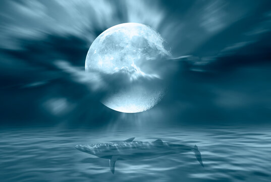 Surreal dream image of big whale flying over blue clouds with full moon in the background - Night landscape concept "Elements of this image furnished by NASA "