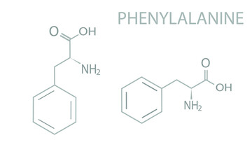 Fototapeta premium Phenylalanine molecular skeletal chemical formula. 