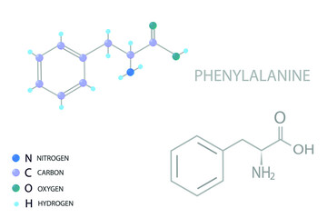 Phenylalanine molecular skeletal 3D chemical formula.	