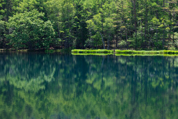 緑深まる御射鹿池 水面に映る木々