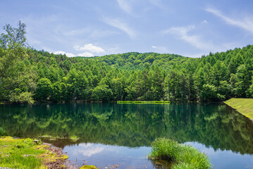 緑深まる御射鹿池 水面に映る木々と空