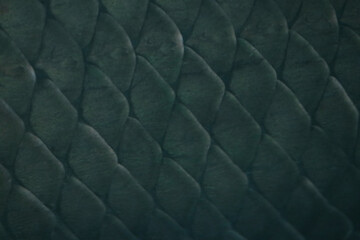 Fototapeta premium ピラルクの硬い魚鱗接写画像を暗く画像加工したイメージテクスチャーDark image texture of the Amazon freshwater fish 