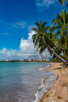 Palm fringed beach, Maceio, Alagoas, Brazil