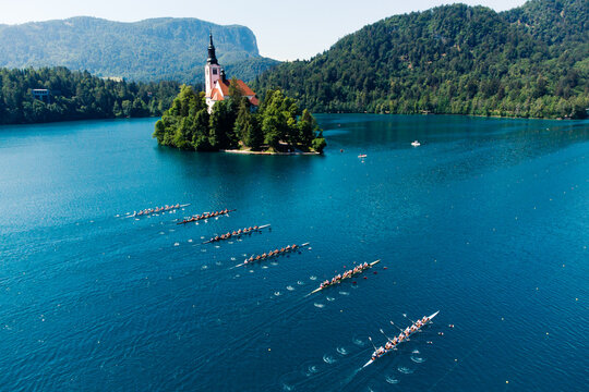 Regatta on Lake Bled