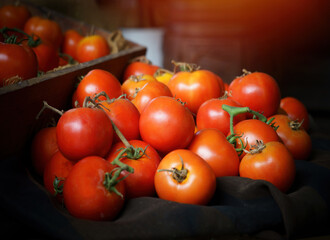 fresh tomatoes.fresh juicy red tomato in the market