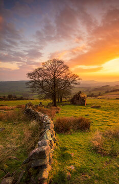 Derelict barn at Roach End, The Roaches, Peak District, Staffordshire, England