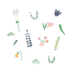 Vector set of hand-drawn flowers. Illustrations for the design of postcards, business cards, web.