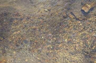photo background of the bottom under water