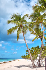 Palm trees on the beach of Saona island, Caribbean. Summer landscape.