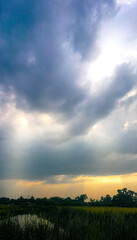 Obraz premium sunset over the field