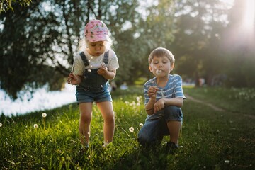 Fototapeta premium Cute little children blowing off dandelion seeds on sunset in park. Photo with backlight