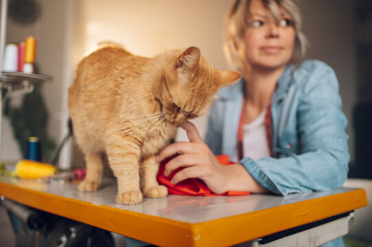 Tailor Woman Sitting And Sewing On A Sewing Machine A In Studio With Her Pet Cat