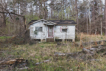 A rural homestead or small house abandoned and crumbling, overgrown with plants and shrubs.