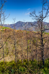 Pico Santuy en Sierra Norte
