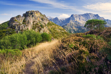 Picos de Europa