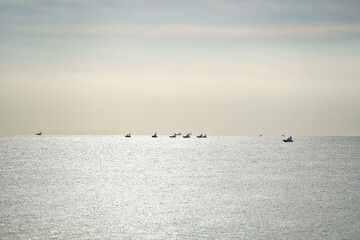 平塚海岸から見た漁船の漁風景