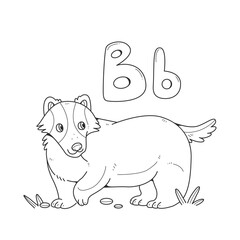 Badger coloring book with English big and small letters B. Children coloring pages alphabet. Vector outline illustration with an animal.