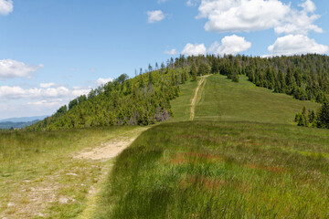 Krajobraz górski Beskidów w okolicy Rajczy i Milówki