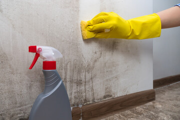 Close-up of a woman's hand in yellow rubber gloves cleans the wall of black mold with a special...