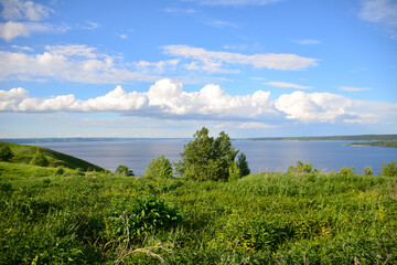 hill with green grass and trees and romantic sky on background