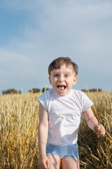 Naklejka na ściany i meble Cute boy walking across the wheat field, making funny faces