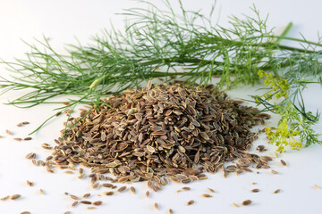 Pile of Natural Indian dill seeds (Anethum graveolens) with leaves and dill's flowers isolated on white background, top view 