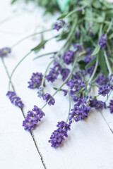 Fototapeta premium Aroma and relax essential flower lavender black and white plant flower violet smell soup oil massage spa therapy cosmetic