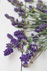 Aroma and relax essential flower lavender black and white plant flower violet smell soup oil massage spa therapy cosmetic