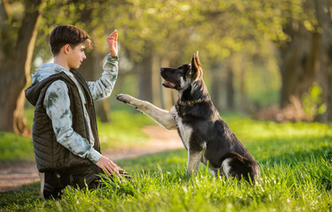a boy with a dog walks in the park on a sunny spring evening, sits on the grass, the dog obeys the...