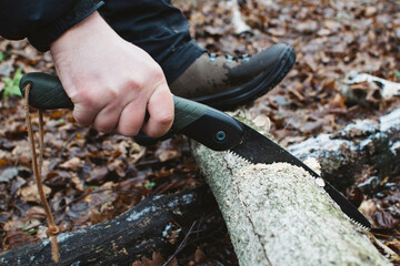 Man cuts tree trunk with small saw