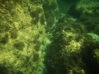 Palamos, Cataluña, España