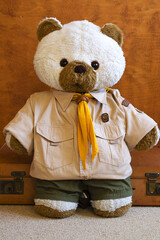 teddy bear dressed as Boy scout from Czech Republic - Junak - Fireflies - obrazy, fototapety, plakaty