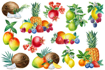 Watercolor fruits, orange and coconut. Sweet mango, strawberries, blueberries pomegranates and pineapple.