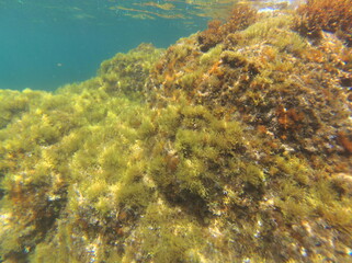 Callella de Palafrugell, Cataluña, España